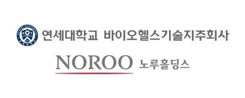 노루홀딩스 제공