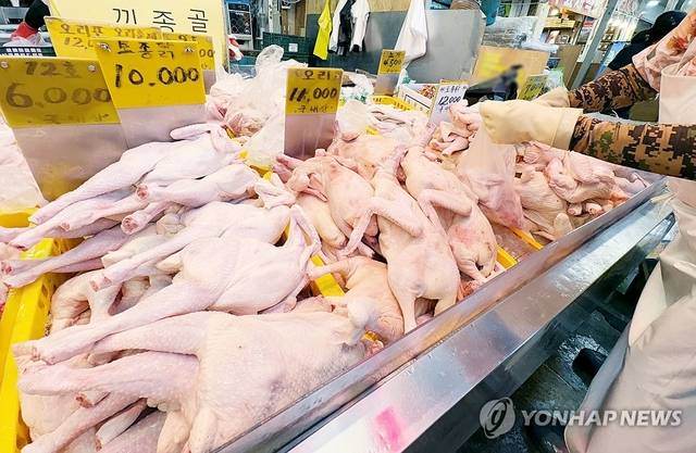 서울의 한 전통시장에서 상인이 닭을 진열하고 있다.  연합뉴스