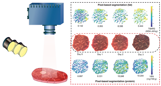 초분광 영상 촬영 개요, 이를 통한 소고기 품질 시각화 예시