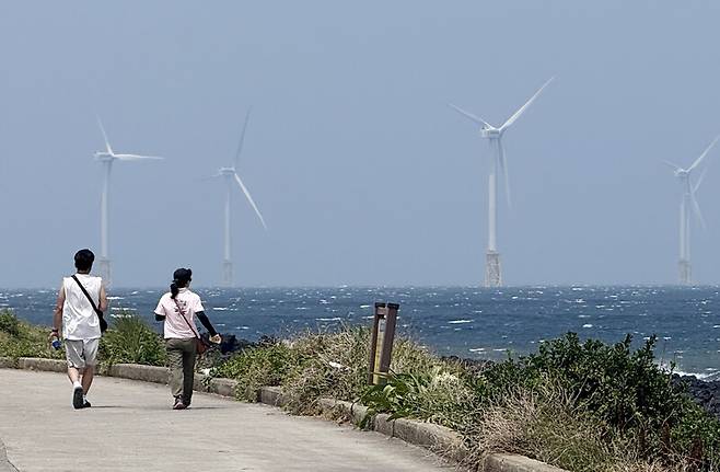 섬 전체를 둘러싸고 있는 해안도로를 걷다보면 만나는 풍경. 박미향 기자
