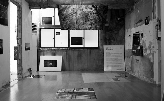 ‘공중 뿌리’  ⓒ이훤