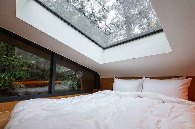 A treehouse suite at Surak Hyu features a glass ceiling for stargazing and panoramic views of the surrounding forest canopy. (Nowon-gu Office)