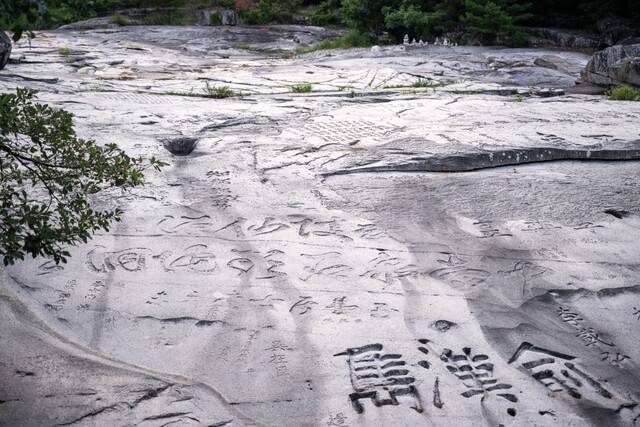 ‘무릉선원 중대천석 두타동천’이 새겨진 무릉반석.
