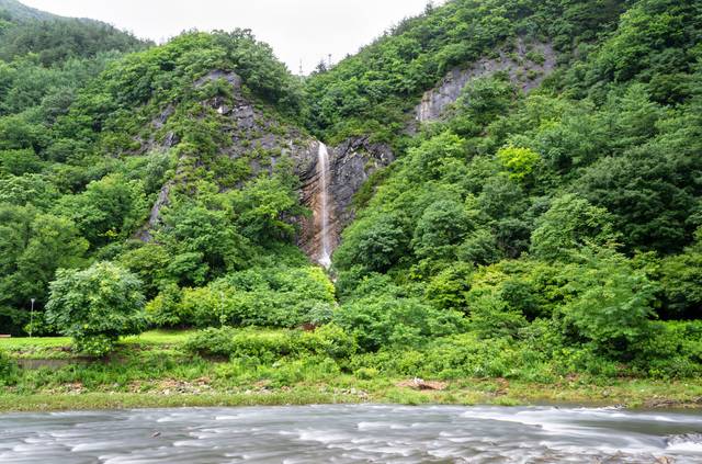 물줄기가 약할 때 절벽으로 보이던 곳이 비 온 뒤 폭포로 변해 진귀한 풍경을 펼쳐놓고 있다. 태백 ‘비와야 폭포’.