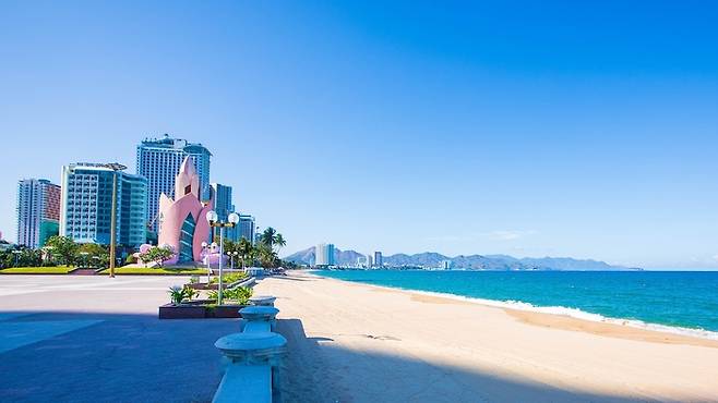 냐짱(사진은 기사와 직접적 관련 없음) / 사진=PIXABAY