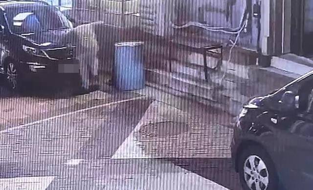 길고양이 학대 장면. 연합뉴스