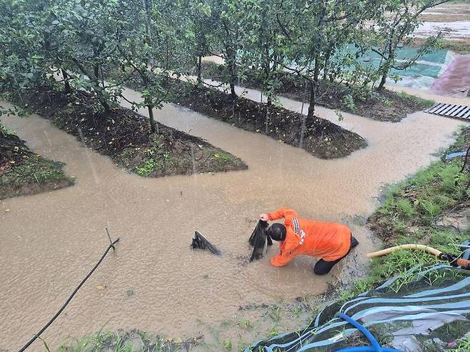 [나주=뉴시스] 기록적인 폭우가 쏟아진 17일 오후 전남 나주시 토계동 한 과수원이 물에 잠겨 소방 당국이 배수 지원 작업을 하고 있다. (사진=전남소방 제공) 2025.07.17.  photo@newsis.com *재판매 및 DB 금지