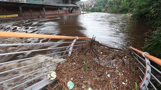 서울 전역에 호우주의보가 발효 중인 가운데 17일 물이 불어난 서울 서대문구 백련교 인근 홍제천 산책로 진입로가 떠내려온 부유물로 막혀 있다. (사진=연합뉴스)