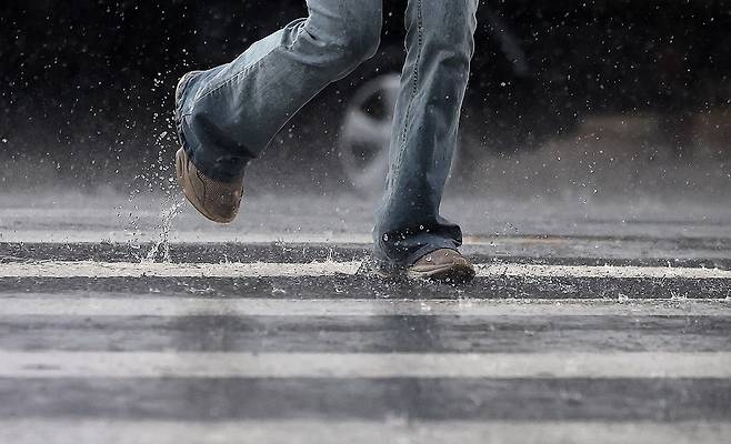 강한 비가 내리는 17일 대구 중구 종각네거리에서 우산을 쓴 한 시민이 횡단보도를 건너고 있다. 뉴시스