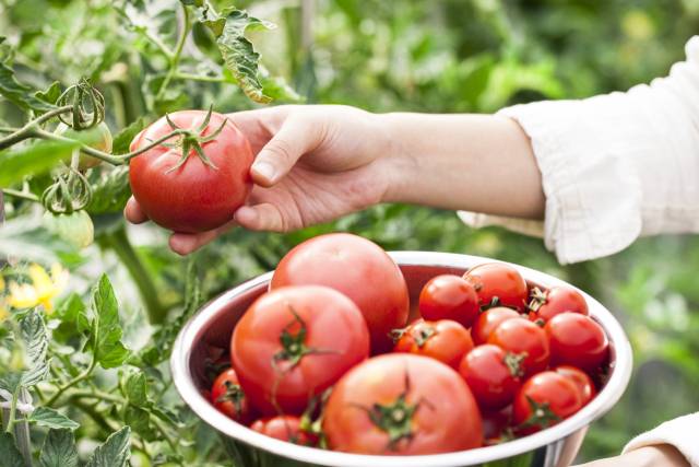 기사 내용과 무관한 이미지.이미지투데이