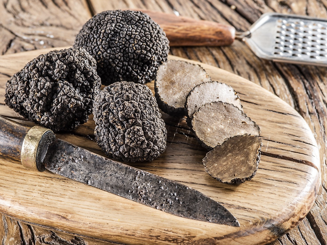 칼리치(Karlic) 가문에서 재배되는 우수한 품질의 트러플. 사진제공|크로아티아관광청/CNTB