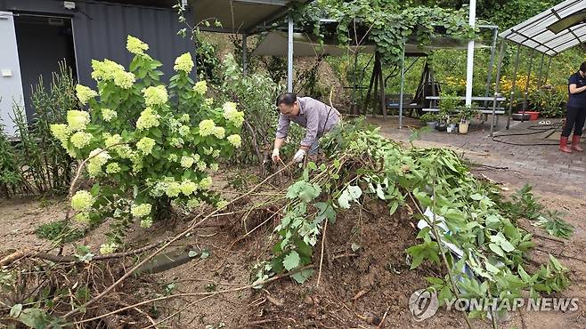 "이걸 언제 다 치운댜?" (서산=연합뉴스) 정윤덕 기자 = 17일 오전 충남 서산에 많게는 400㎜ 넘는 물 폭탄이 쏟아진 가운데 음암면 유계리 주민 신효수(65) 씨가 잠시 비가 그친 틈을 타 집 뒤 토사와 함께 밀려온 나무를 치우고 있다. 2025.7.17 cobra@yna.co.kr