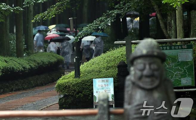 제주도 산지·북부 중산간에 호우특보가 내려진 18일 오후 제주시 봉개동 절물자연휴양림에 많은 비가 내려 탐방객이 급히 발걸음을 옮기고 있다. 2025.7.18/뉴스1 ⓒ News1 오현지 기자