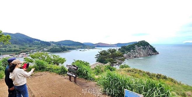 고흥 쑥섬
