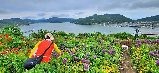 고흥 쑥섬