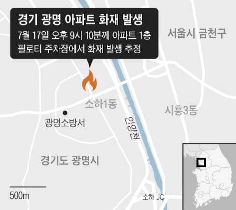 그래픽=조선디자인랩 한유진