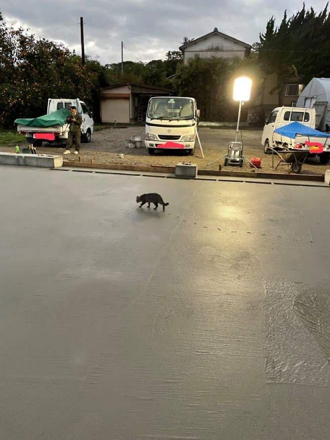 7fed8273b58569fe51ee86e645857573b5768d74d45dd642c2b15e356cff2d