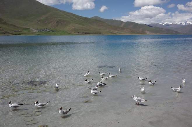 7a9f8772c182698423e78393309c701ccb63b66b8c38b5064ba6d510df4dbbe1980366ddb4c6267ff139c55161838775fa05832f811d