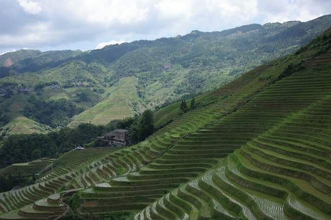 7f9ff371c4f61c8023ed82e74f9c70197791851dcd4008c7d74a15a04c3463809455ad2be4a1b63795d83726e209c3e83967d492e885