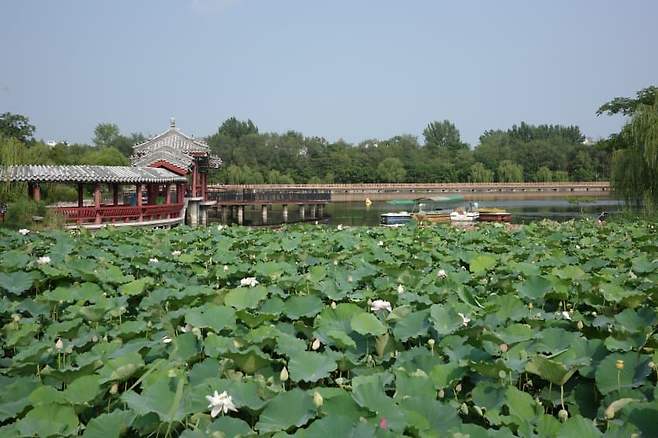 7bea8504b3f61cff23eb87e54e9c701eb10e76091e0a164ab4b32a4542278b6231234fe2f53665f8d3af1be446658eba99af0dbef9b0