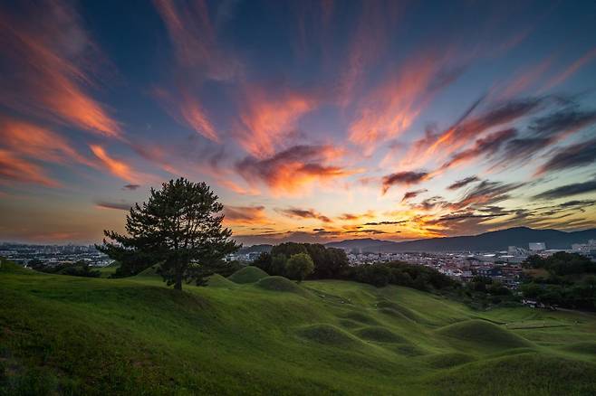 대구 동구 불로동 고분군의 전경. 200여 기가 넘는 삼국시대 고분이 자리 잡은 대표적인 ‘사진 명소’다.