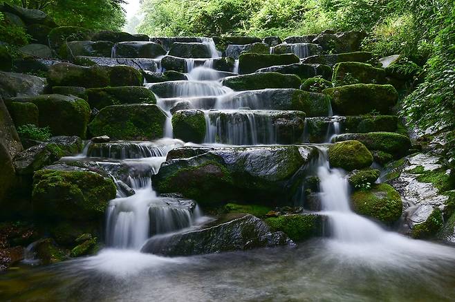 비슬산 계곡에서 시원하게 물이 흐르고 있다.