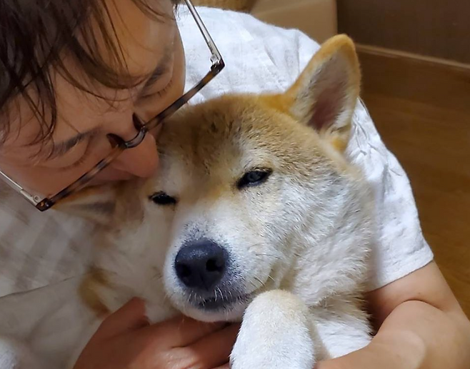 고급 외제차 페라리를 팔아 보호소 부지를 마련한 사이토 히로타카 씨는 현재 경트럭을 몰며 유기동물 돌봄에 전념하고 있다. 사진은 완즈프리(Wansfree) 보호소에서 보호 중인 동물들과, 운영자 사이토 사이토 씨의 모습. (@wansfree)