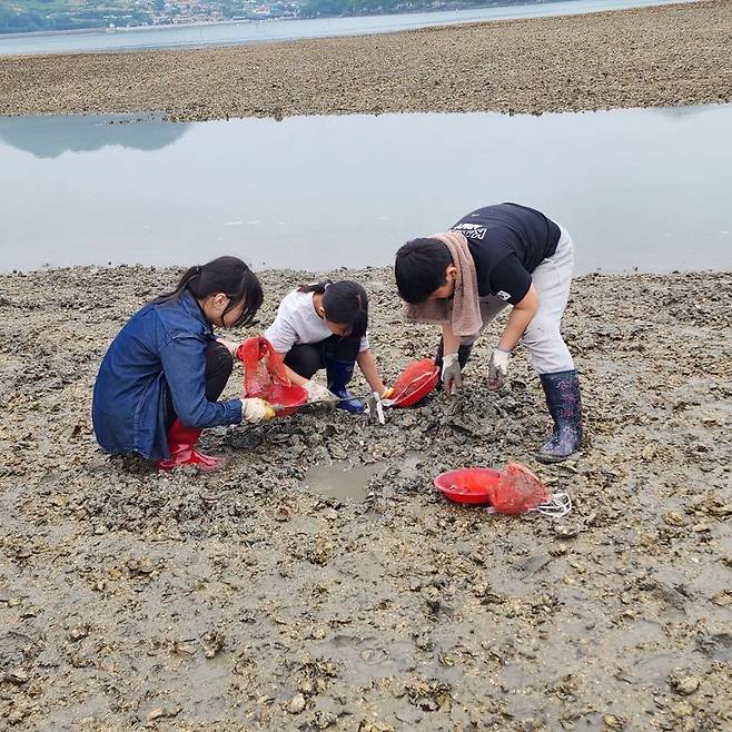 전남도가 농촌 소득 증대와 생활인구 유입을 위해 농촌체험휴양마을 171곳을 운영 중인 가운데 여름철 가족 여행지로 안성맞춤인 고흥 포두면 오취리 별나로마을을 추가 선정했다. 사진은 농촌체험휴양마을 갯벌 체험 모습. 전남도 제공