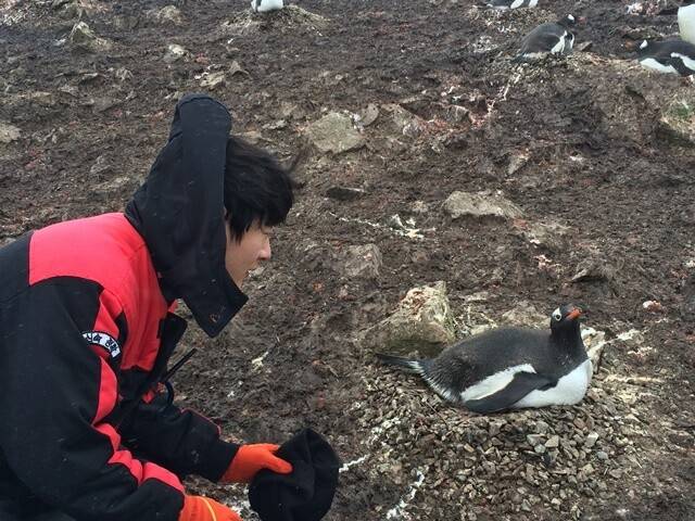 저자 이원영이 젠투펭귄을 살피고 있다. 글항아리 제공