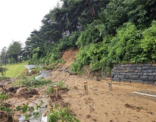 ▲ 사적 ‘예산 윤봉길 의사 유적’ 피해 현황 [국가유산청 제공. 재판매 및 DB 금지]