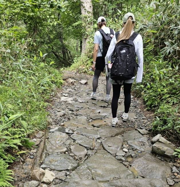 입구에서 비지터센터로 가는 1시간의 구간은 일반적인 등산로와 비슷하다. / JAPAN NOW