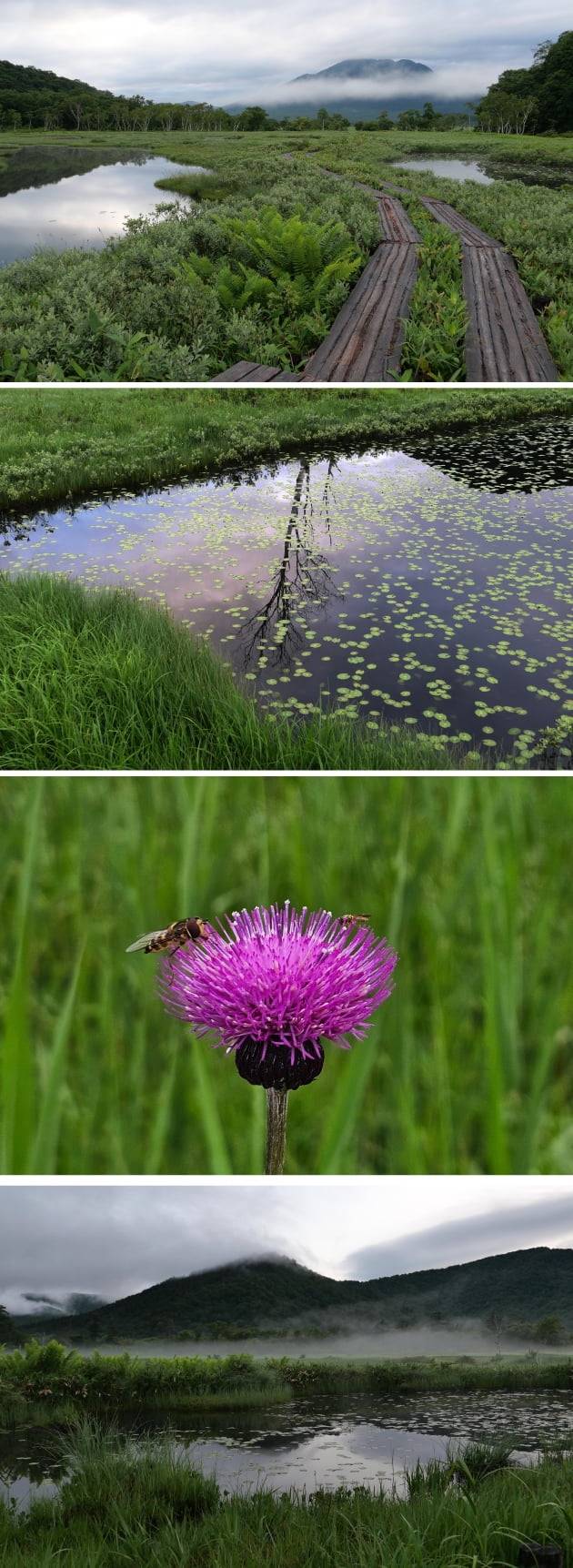 오제 아침의 다양한 모습./ JAPAN NOW