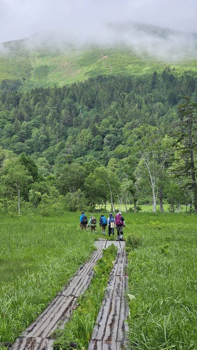 가을에는 어떤 모습일지 벌써부터 궁금해 진다. / JAPAN NOW