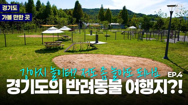 [썸네일] 반려인, 반려견 모두 행복할 수 있는 이곳은? [경기도 가볼 만한 곳]. 김종연PD