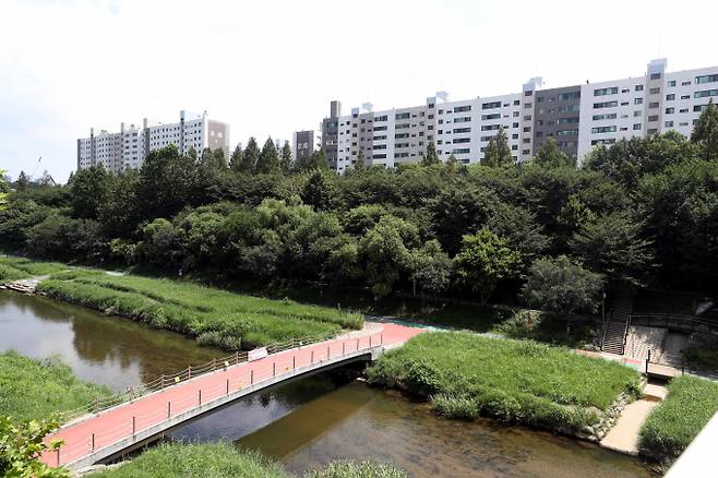 사진은 양재천과 개포경남 아파트 모습. /사진=뉴시스