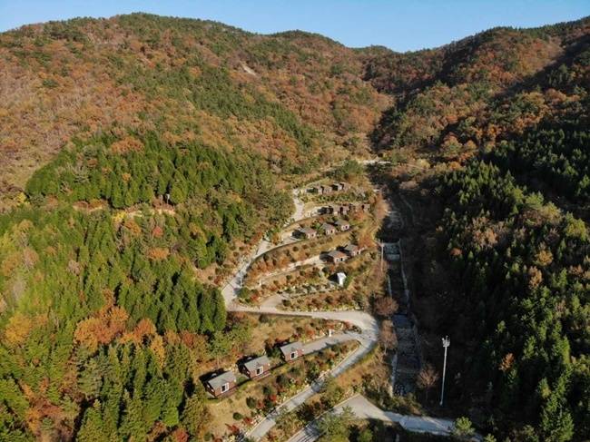 여수 봉황산 자연휴양림.