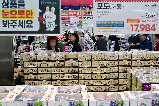 최근 계속되는 무더위와 폭우로 과일 가격이 폭등한 가운데 18일 오후 서울 서초구 하나로마트 양재점에서 시민들이 과일을 고르고 있다.  이상섭 기자