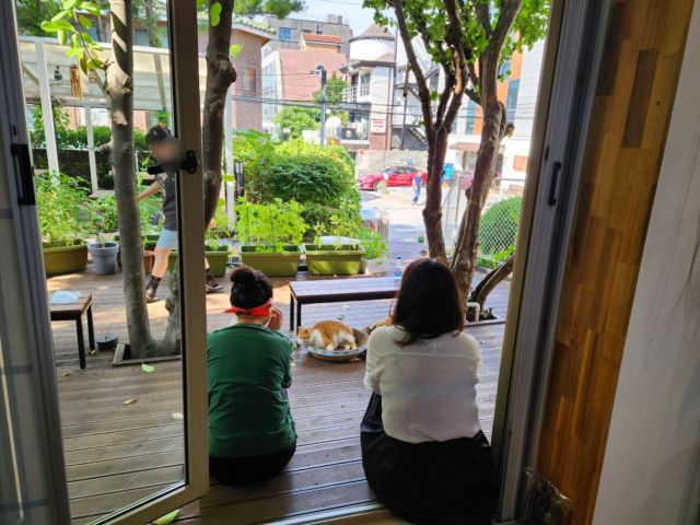 ▲십대여성건강센터 나는봄 주방에서 보이는 앞마당. ⓒ나는봄 제공