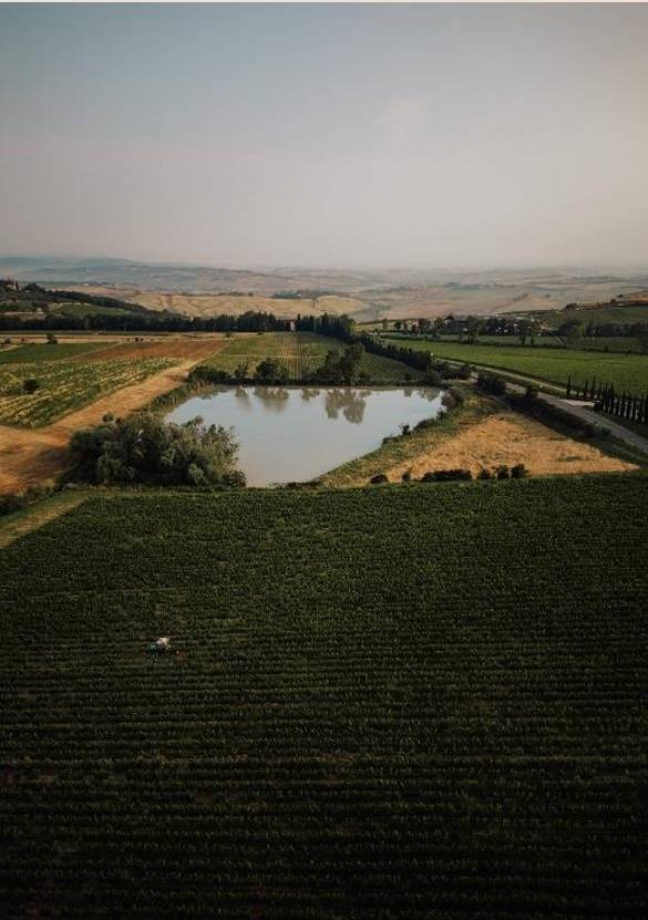 몬탈치노 동북쪽 포도밭 발 디 수가 비냐 델 라고.