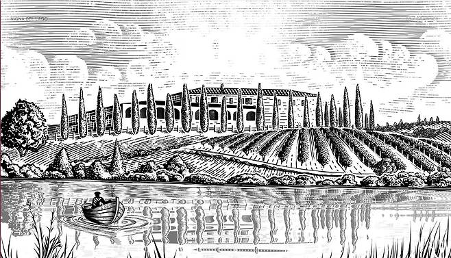 비냐 델 라고 레이블.