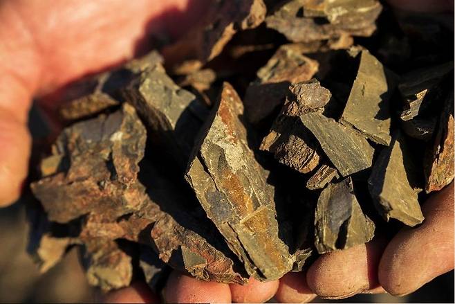 포지오 알 그란키오 갈레스트로 토양. 홈페이지