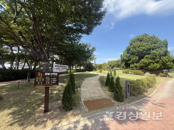 동천체육관 유휴 녹지 공간에 마련된 맨발 산책로.