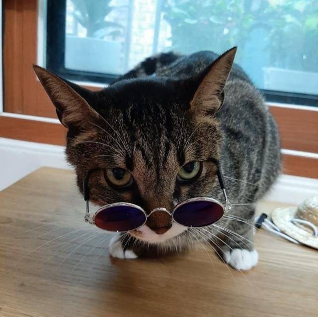 instagram@realstraykids