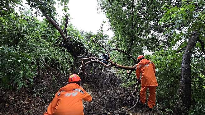 [연합뉴스/전북특별자치도 소방본부 제공]
