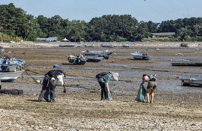 쓰레기 줍기가 시작되자 생각보다 빠른 속도로 포대자루가 채워졌다. 김성룡 기자