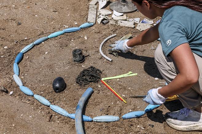 서해 점박이물범의 얼굴을 꾸미고 있다. 김성룡 기자