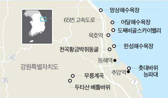 그래픽=이현민 dcdcdc@joongang.co.kr