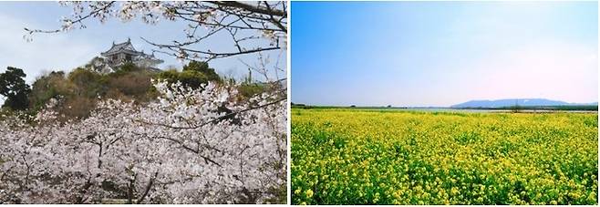 사진= 도쿠시마 관광사무소