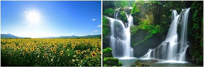 사진= 도쿠시마 관광사무소