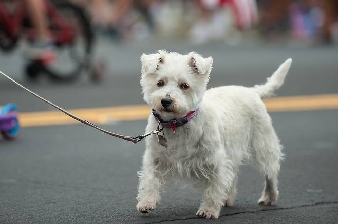 사진은 기사의 이해를 돕기 위한 이미지.[123RF]